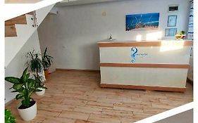 Seahorse Guesthouse